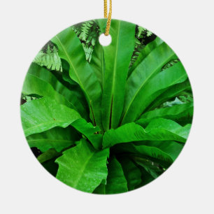 Fågelns bo Fern Julgransprydnad Keramik