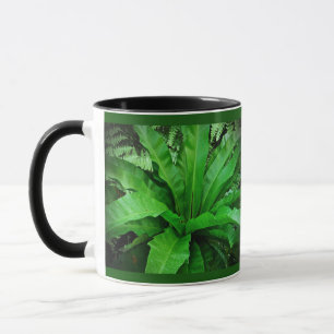 Fågelns bo Fern Mugg