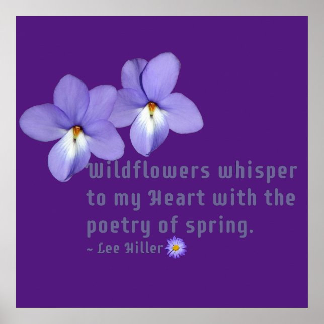 Fågelns fot Violets Wildblommor Citat Poster (Framsidan)