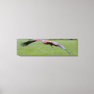 Fågelns Öga-vy över panoramabilt Kanvastryck