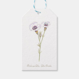 Fågelns Ögon Gilia-vattenfärg Träbox-skylt Presentetikett