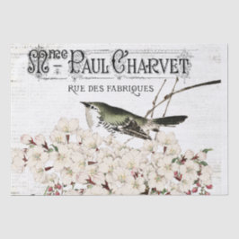 Fågelpapper och Magnolia-vävnadsdokument