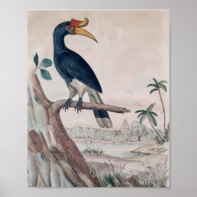 Fågelposter Poster (Framsidan)