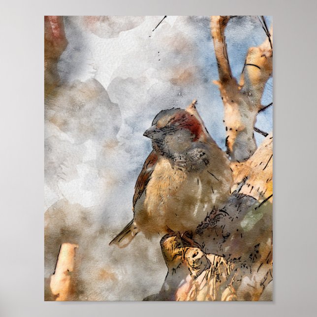 FågelPoster Poster (Framsidan)