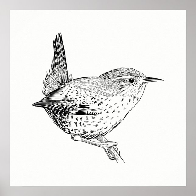 FågelPoster/Wall Art Wren Poster (Framsidan)