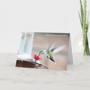 Fågelsamling: Hummingbird (blank notes) Kort
