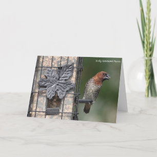 Fågelsamling: Spice Finch (blank notes) Kort