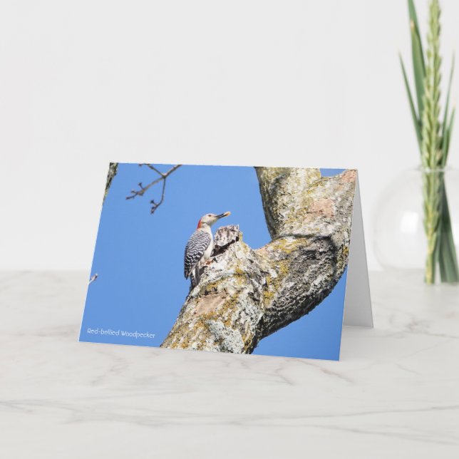 Fågelsamling: Woodpecker (blank notes) Kort (Framsida)