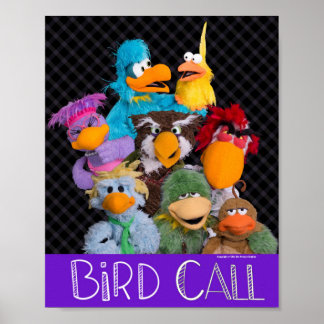 Fågelsamtalscast Poster