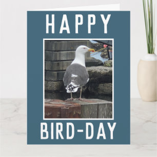 Fågelskådare eller fågelentusiastisk födelsedag kort