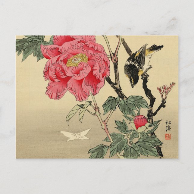 Fågelskådning en fjäril vykort (Framsida)