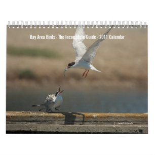 Fågelskalender i bukområdet 2011 kalender