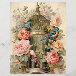 Fågelskönhet Scrapbookpapper