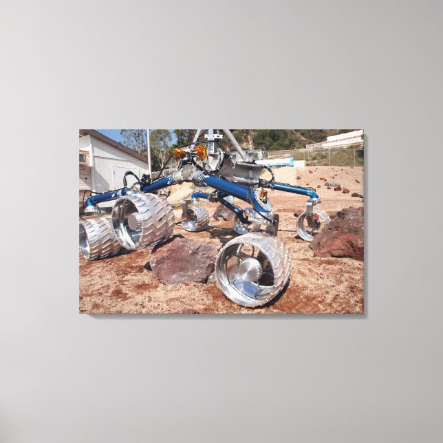 Fågelskrämma, en modell för mobilitetstester canvastryck (Framsida)