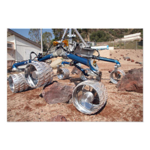 Fågelskrämma, en modell för mobilitetstester fototryck