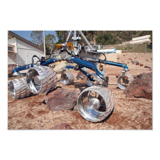 Fågelskrämma, en modell för mobilitetstester fototryck (Framsidan)