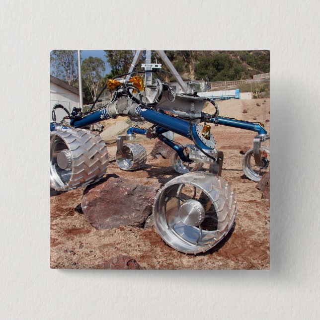 Fågelskrämma, en modell för mobilitetstester knapp (Framsida)