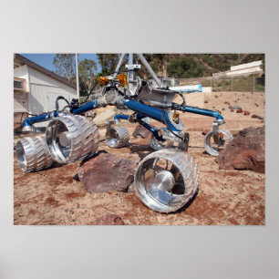 Fågelskrämma, en modell för mobilitetstester poster