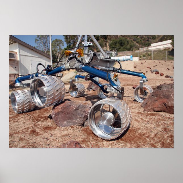 Fågelskrämma, en modell för mobilitetstester poster (Framsidan)