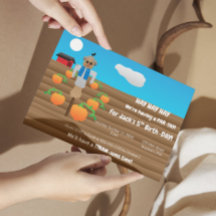 Fågelskrämman Parti (landskap)