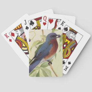 Fågelspelkort Casinokort