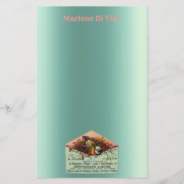 Fågelstallar i vintage brevpapper (Framsida)