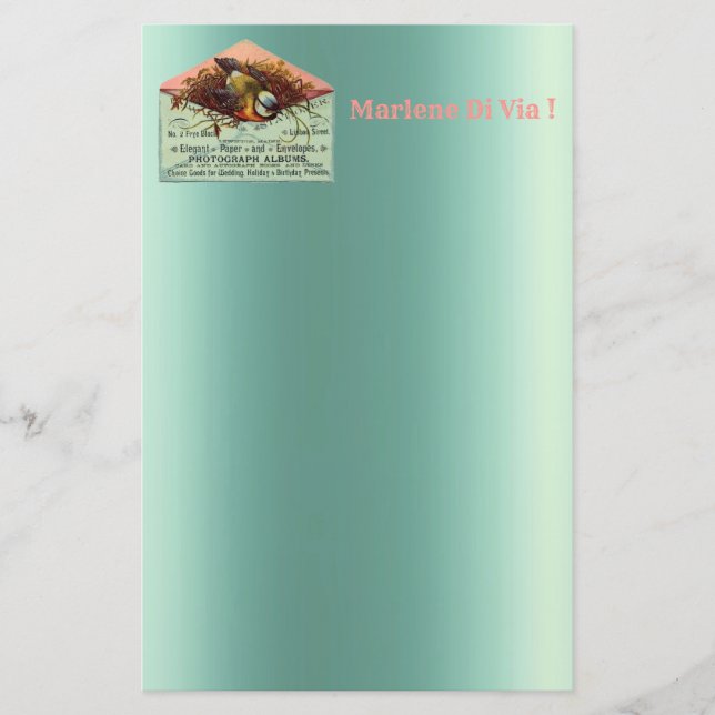 Fågelstallar i vintage brevpapper (Framsida)