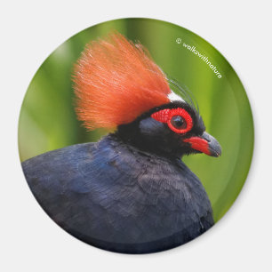 Fågelstam av grovtäckt trä magnet