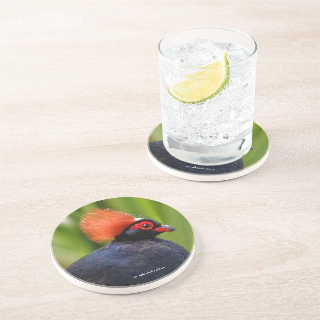 Fågelstam av grovtäckt trä underlägg (Sidan)