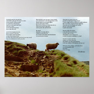 Fågelstillhet i tystnad på bergsdjupet poster
