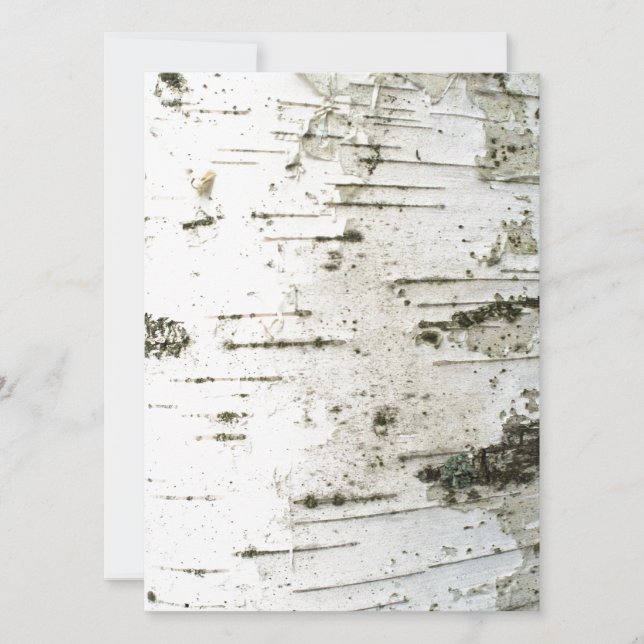 Fågelstrunk (Framsida)