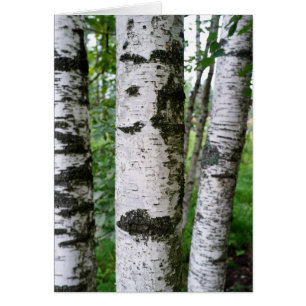 Fågelstrunk Hälsningskort