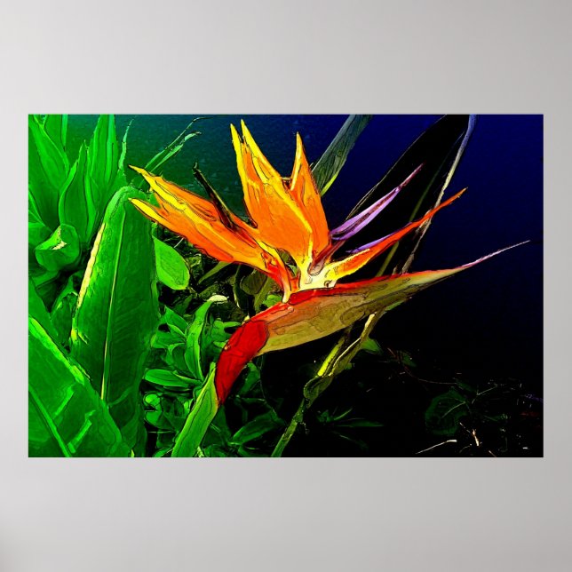 Fågelutskrift av vattenfärg poster (Framsidan)