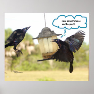 Fågelutskrift för patientrespekt - Ravens-Kråkor Poster