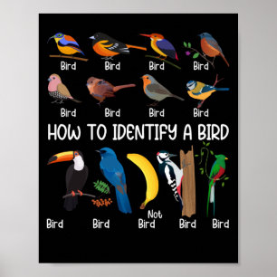 Fågelvaktare för att identifiera en fåglars unika poster