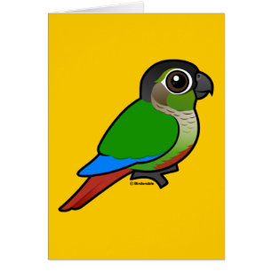 Fågelvänlig Grönkindad Conure OBS Kort