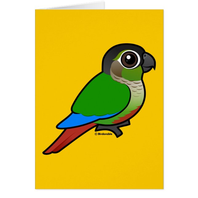 Fågelvänlig Grönkindad Conure OBS Kort (Framsidan)