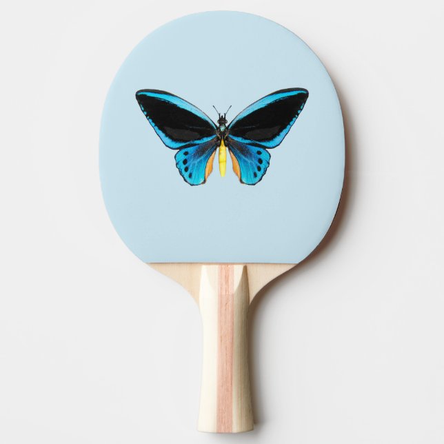 Fågelvinge fjäril pingisracket (Framsidan)