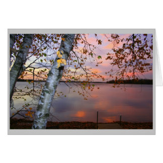 fågelvy hälsningskort