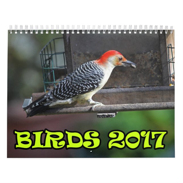 Fåglar 2017 kalender (Omslag)