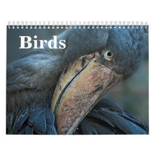 Fåglar 2026 kalender