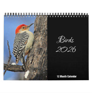 Fåglar 2026 Kalender