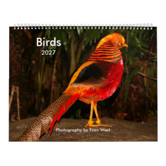 Fåglar 2027 kalender