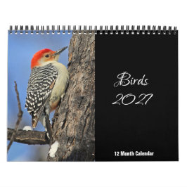 Fåglar 2027 Kalender