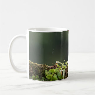 Fåglar är de enda djuren med fjädrar 2 kaffemugg
