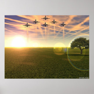 Fåglar av Ber Poster