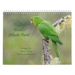 Fåglar av Brasilien den atlantiska skogkalendern Kalender