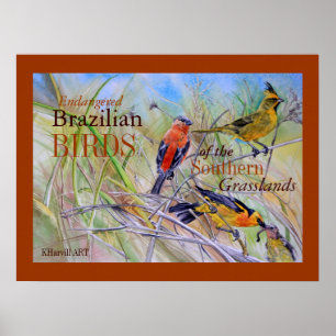 Fåglar av den brasilianska grässlättkonstaffischen poster