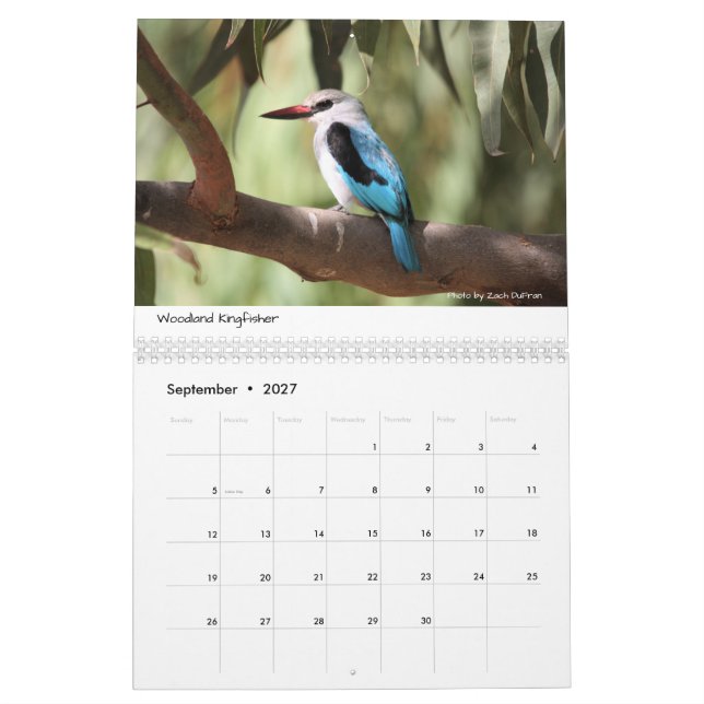 Fåglar av den Etiopien kalendern Kalender (Sep 2027)