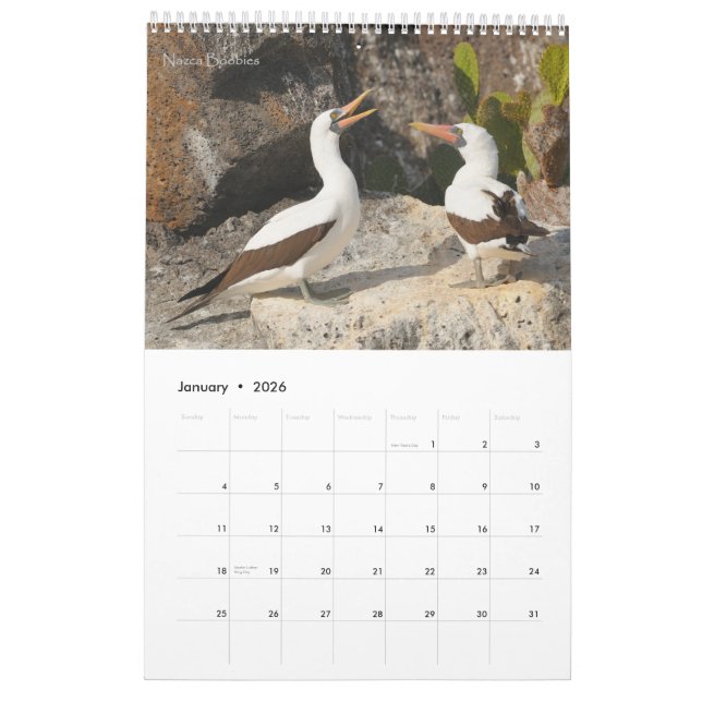 Fåglar av den Galapagos kalendern Kalender (Jan 2026)